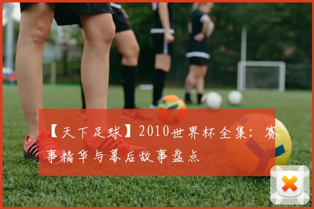 【天下足球】2010世界杯全集：赛事精华与幕后故事盘点