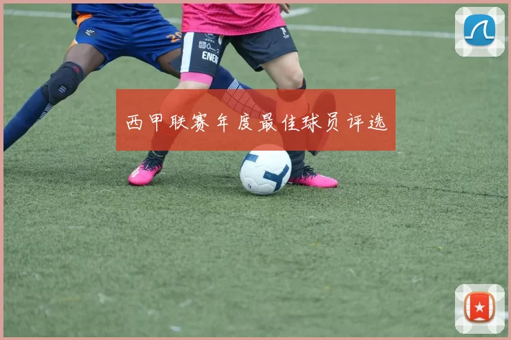 西甲联赛年度最佳球员评选
