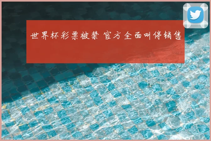 世界杯彩票被禁 官方全面叫停销售