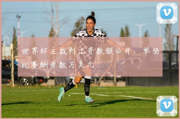 世界杯主裁判工资数额公开，单场比赛酬劳数万美元