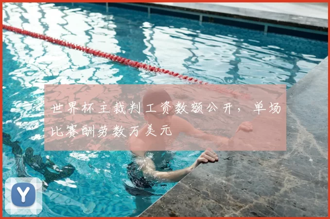 世界杯主裁判工资数额公开，单场比赛酬劳数万美元