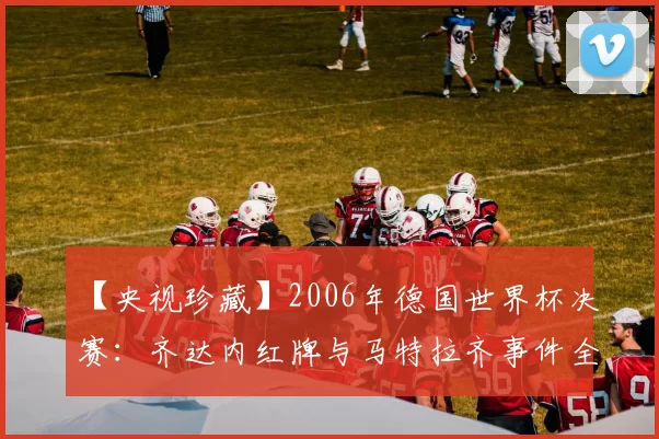 【央视珍藏】2006年德国世界杯决赛:齐达内红牌与马特拉齐事件全记录