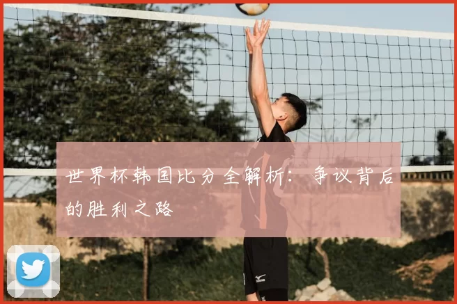 世界杯韩国比分全解析：争议背后的胜利之路