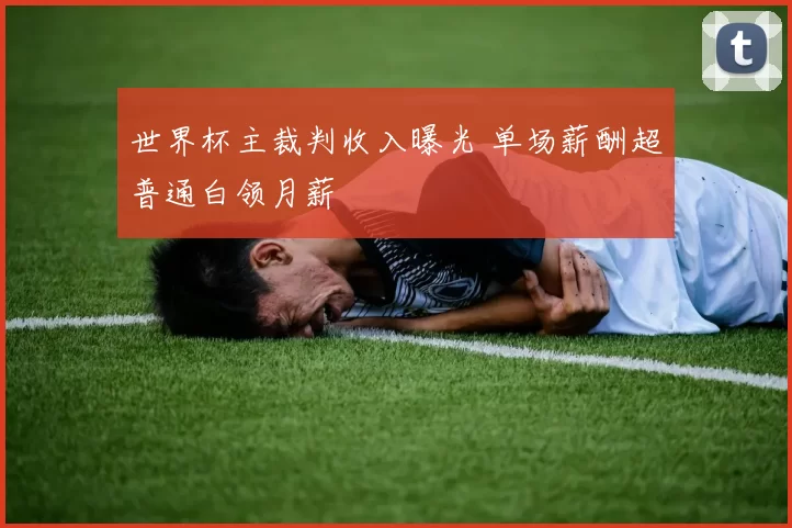 世界杯主裁判收入曝光 单场薪酬超普通白领月薪